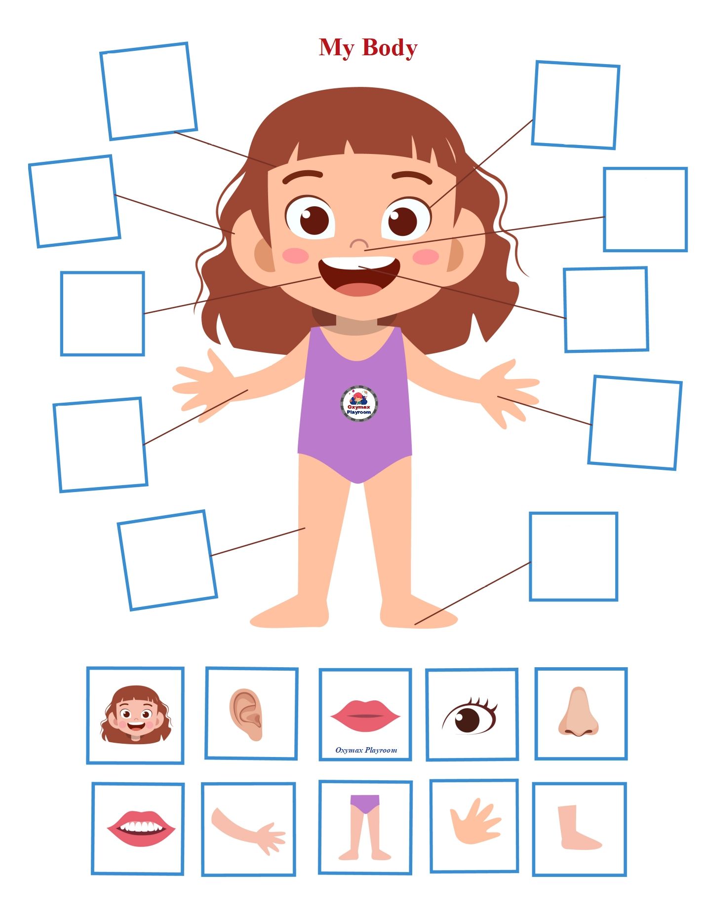 My Body Worksheets For Kids Images and Photos finder