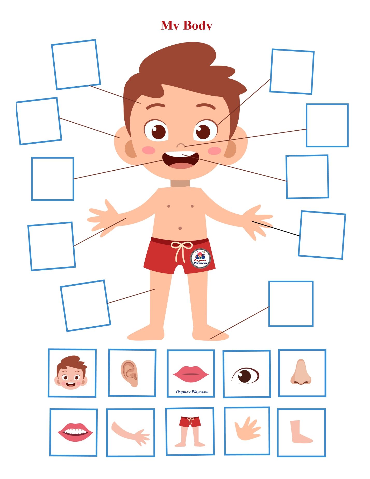 My Body Five Senses Activities Game