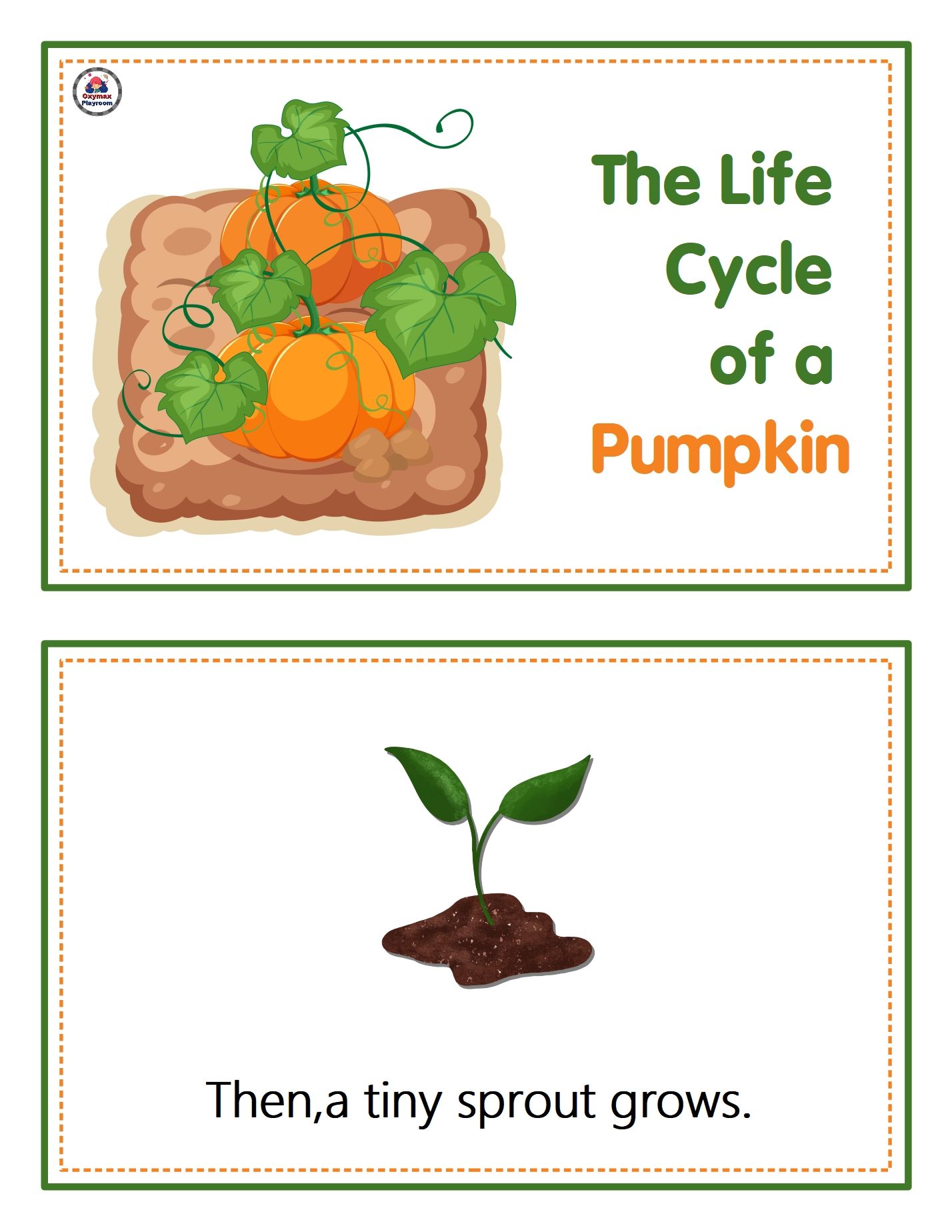 The life cycle of a Pumpkin. EXPLORING THE PARTS OF A PUMPKIN