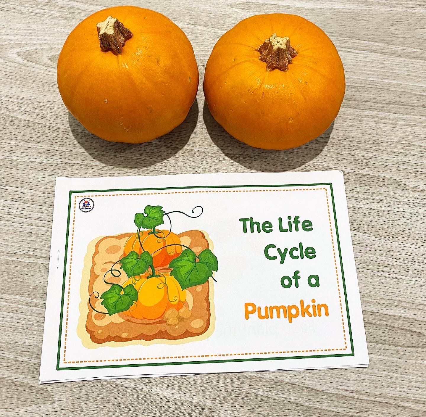 The life cycle of a Pumpkin. EXPLORING THE PARTS OF A PUMPKIN