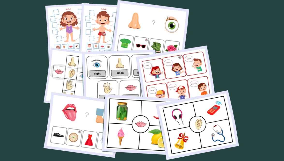 My Body. Five senses activities game